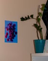 BLEEDING VINES - CORNFLOWER