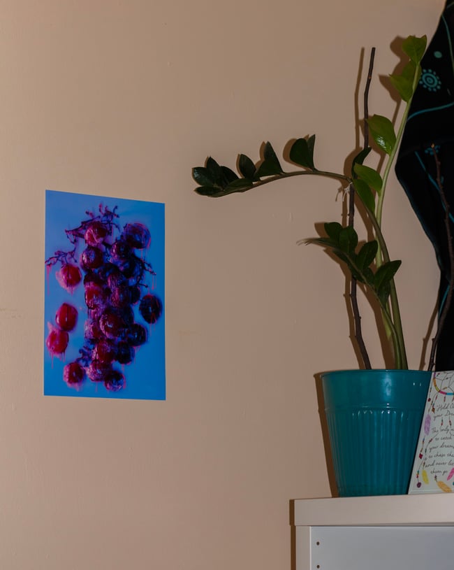 BLEEDING VINES - CORNFLOWER