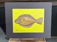 Image 1 of Flounder