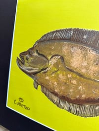Image 2 of Flounder