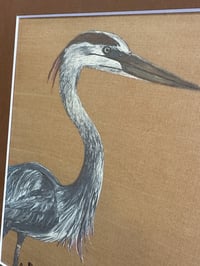 Image 2 of Great Blue Heron 1