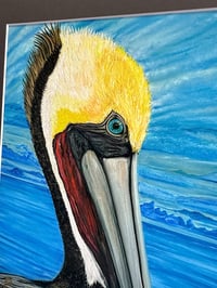 Image 2 of Brown Pelican 1