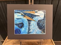 Image 1 of Great Blue Herons