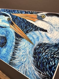 Image 2 of Great Blue Herons
