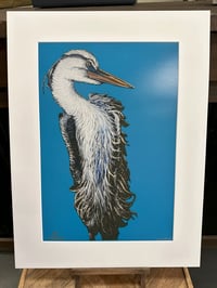 Image 1 of Great Blue Heron 2