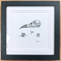Image 1 of Magpie bones (original framed drawing)