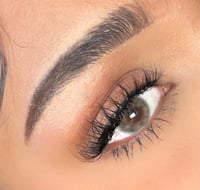 Arianna wispy lashes