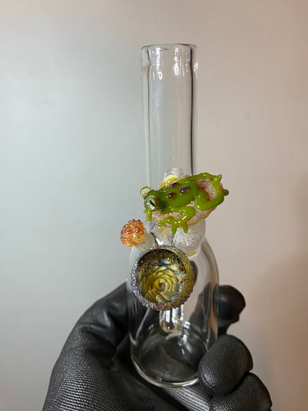 Image of 10mm Sake jammer with geode, frog, and mushrooms.