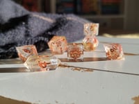 Image 3 of Evermore dice set