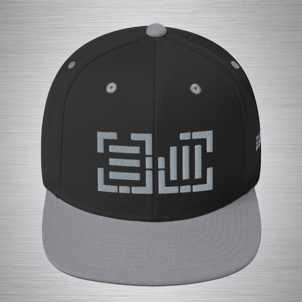 EVOLM Snapback Hat (gray)