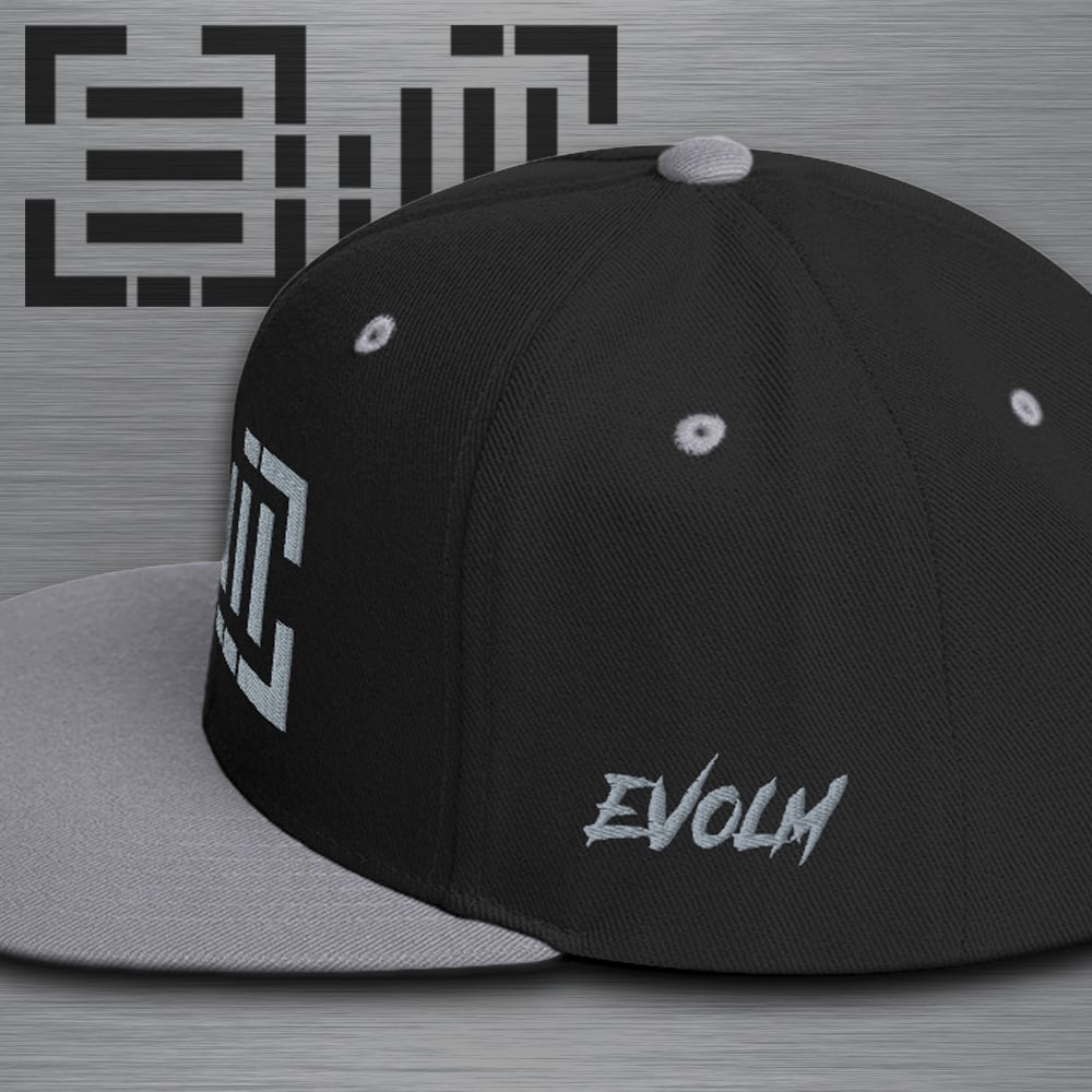EVOLM Snapback Hat (gray)