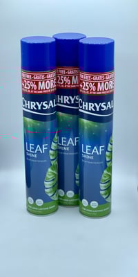 Leaf Shine