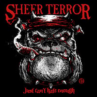 Image 1 of Sheer Terror-Just Can’t Hate Enough LP Purple Pink Vinyl Generation Records Exclusive Pressing 