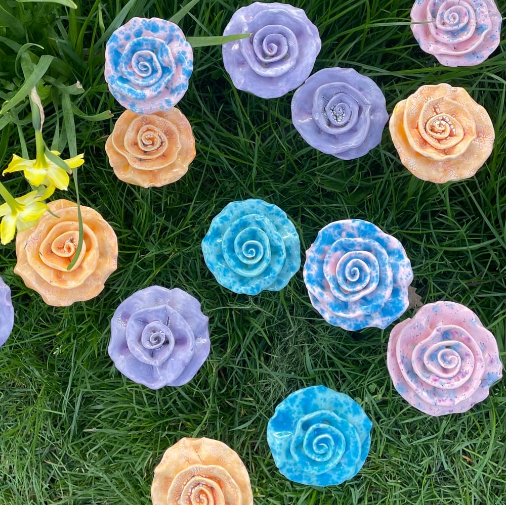 Image of Blue Crystal rose 