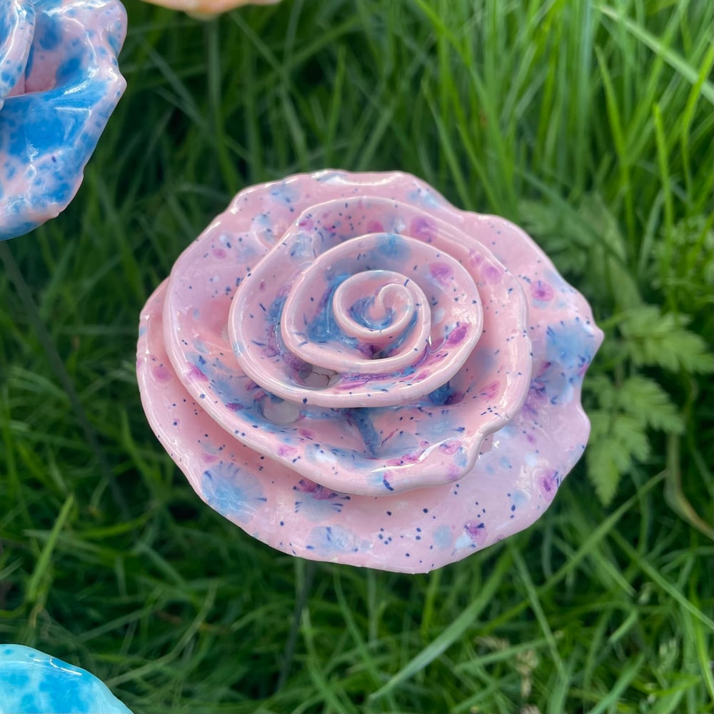 Image of Pink Clay Rose