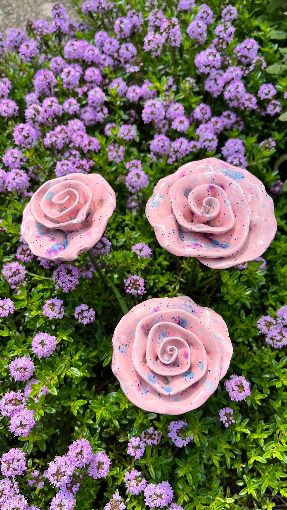 Image of Pink Clay Rose