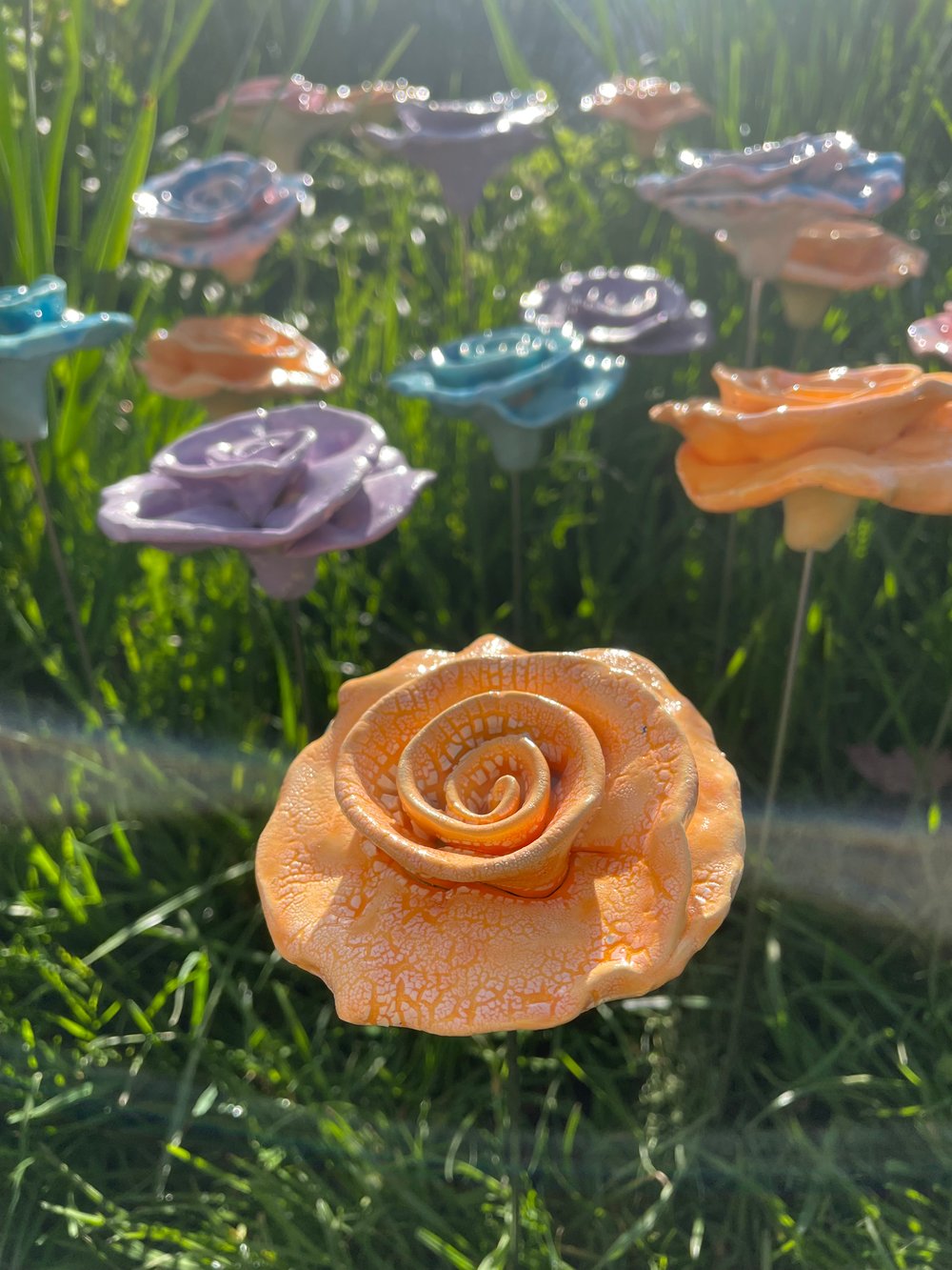 Image of Orange sorbet rose 