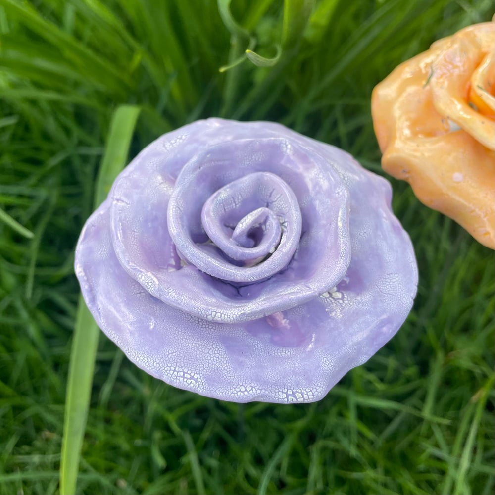 Image of Violet sorbet flower 