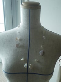 Image 6 of Seashell Long Necklace