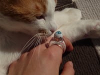 Image 6 of Blue Eyeball Ring
