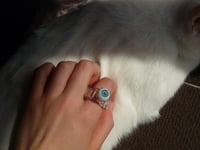 Image 13 of Blue Eyeball Ring