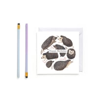 Image 1 of Hedgehog Birthday Card