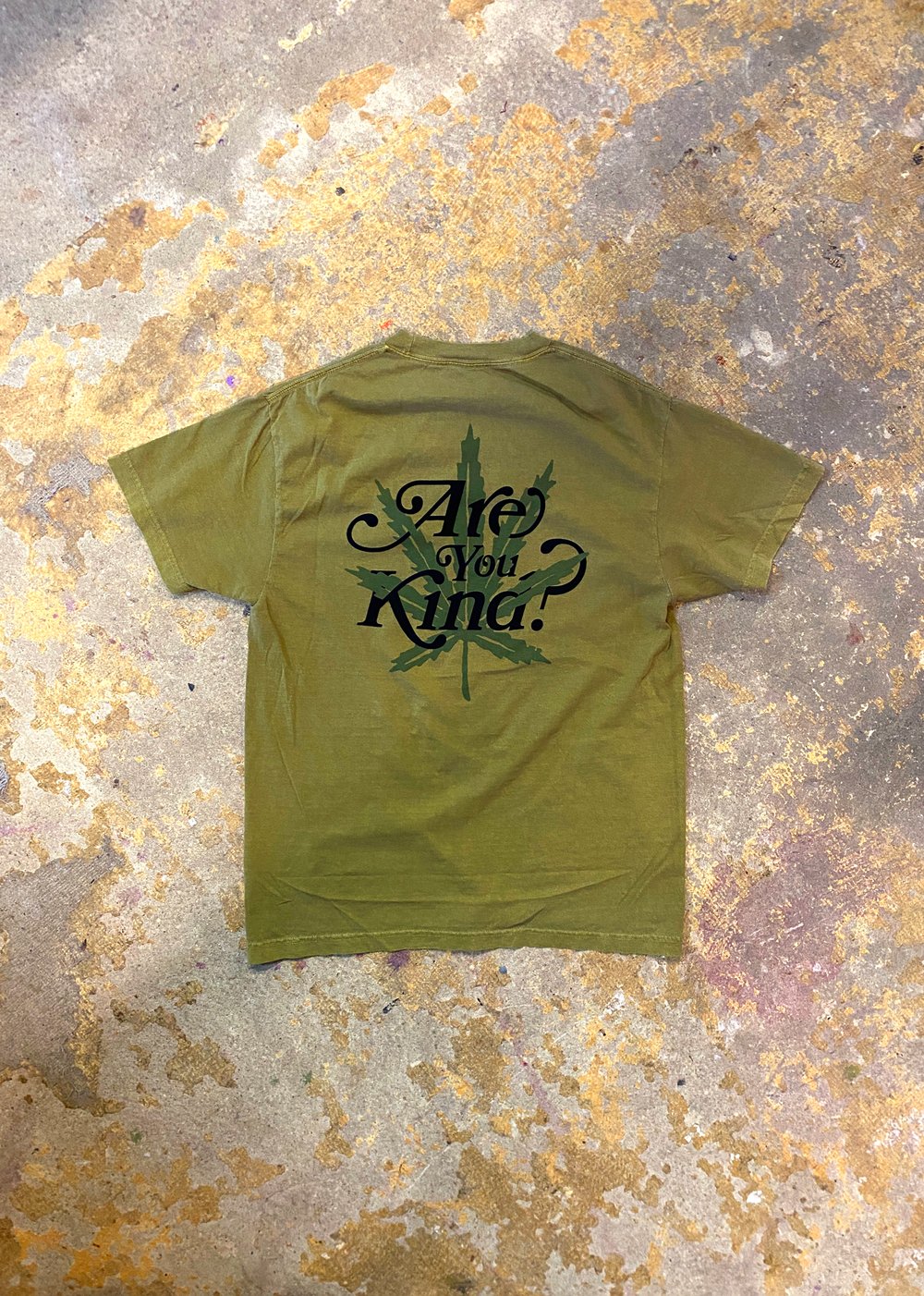 Image of Are You Kind 420 Tee - Faded Green