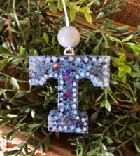 Image 3 of Small power T freshie - Mountain man 