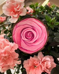 Image 1 of Woody Pink Rose - Original