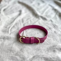 Image 1 of Franks Goods BioThane Collar 