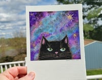 Image 1 of Odd Black Cat and Stars