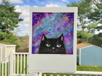 Image 3 of Odd Black Cat and Stars