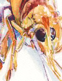 Image 3 of "Snap, Snap" - PRINT
