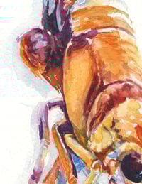 Image 4 of "Snap, Snap" - PRINT