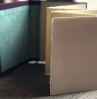 Image 4 of Concertina