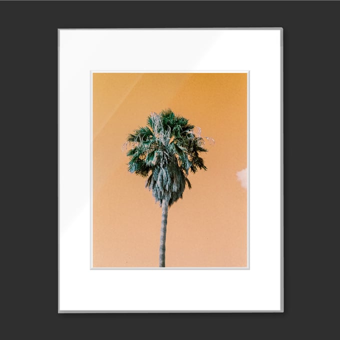 Image of Orange Palm Tree by Nick Strom Ready To Frame 11x14 Print