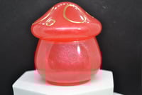 Image 11 of Resin Mushroom Jars