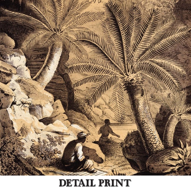 Dioon Edule | Retro Tropical Print | Palm tree Poster | Vintage Forest Landscape