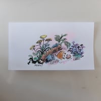 Image 1 of Pique nique