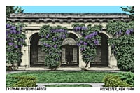 Image 1 of Eastman Museum Garden Postcard