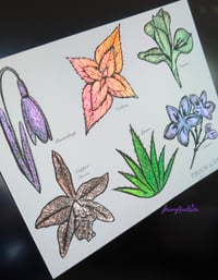 Image 3 of Prism Garden