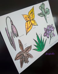 Image 4 of Prism Garden