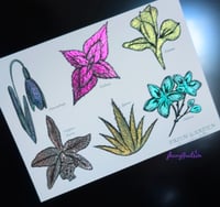 Image 5 of Prism Garden