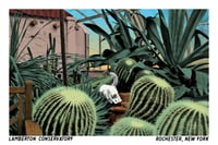 Image 1 of Lamberton Conservatory Cactus Postcard