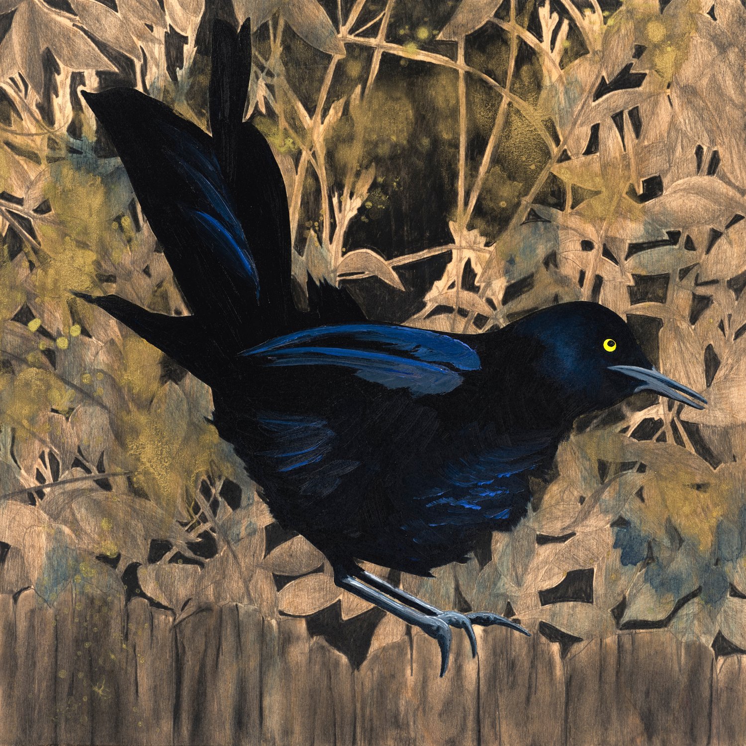 Eclipse Grackle #19 by Carly Weaver - Original Painting