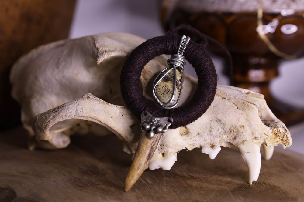 Image of Brown hemp schalenblende antler tip necklace