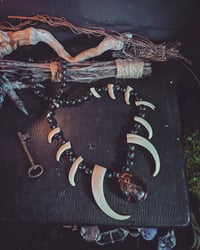 Image 1 of Scorpion tooth necklace 
