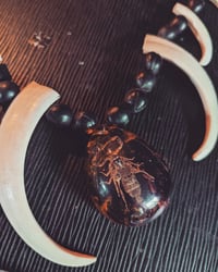 Image 2 of Scorpion tooth necklace 