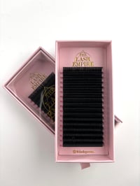 Image 1 of Velvet Luxury Lash Trays