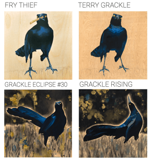 Eclipse Grackle Mounted Prints by Carly Weaver